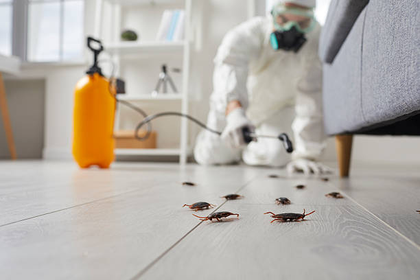 Commercial Kitchen Cockroach Control in Three Oaks